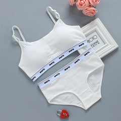 Women Self-Design Heavily Padded Lingerie Set (Pack Of 4)