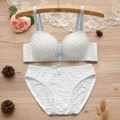 Women Self-Design Heavily Padded Lingerie Set (Pack Of 4)