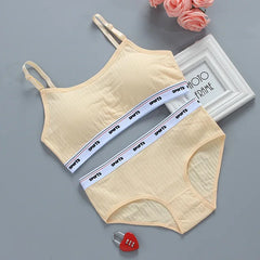 Women Self-Design Heavily Padded Lingerie Set (Pack Of 4)