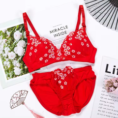 Women Self-Design Heavily Padded Lingerie Set (Pack Of 4)